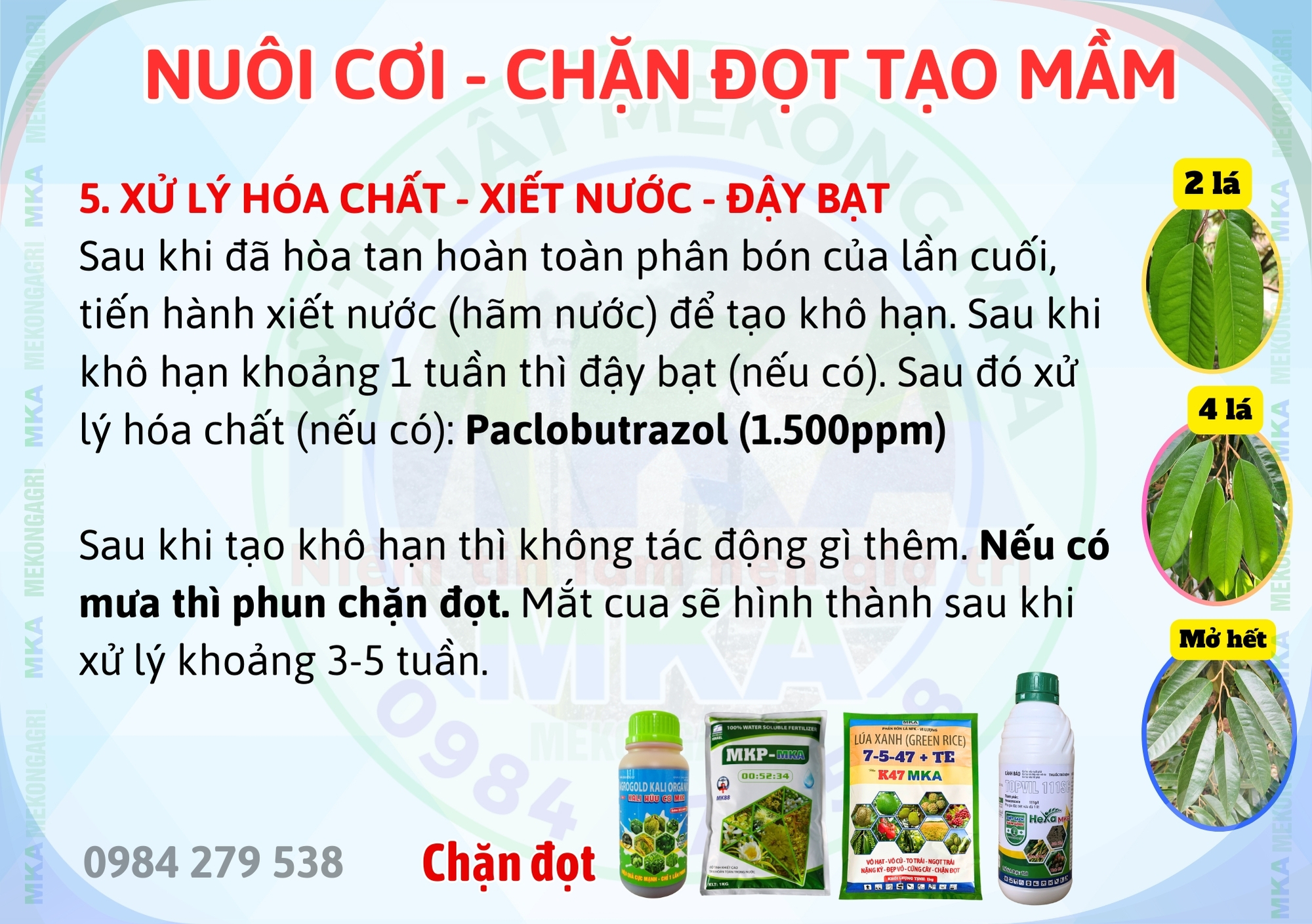 Lân cao 10-60-10 MKA chặn đọt tạo mầm kích thích ra hoa 